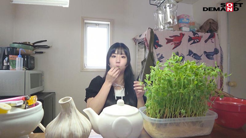 六华ノア（六华乃爱）作品号SDAM-125剧情介绍及封面