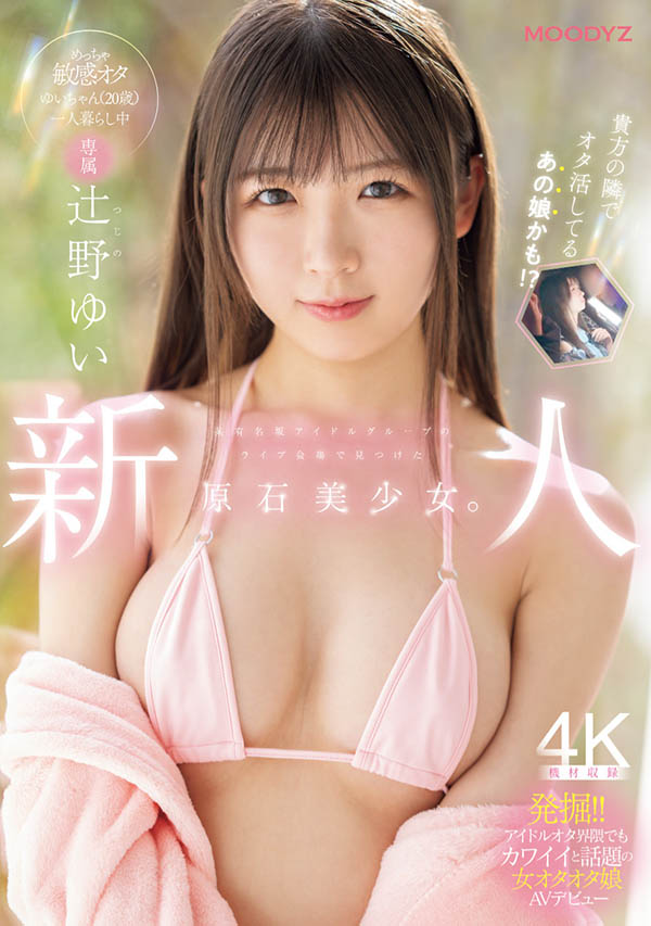 辻野ゆい(辻野唯)作品号MIDA-228介绍及封面