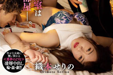 人妻系女演员《织本芹野》精选作品号推荐介绍及封面