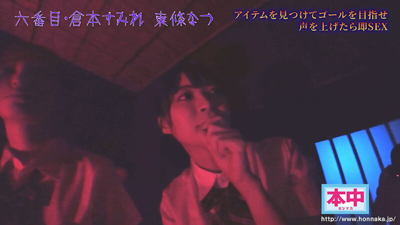 「超级鬼屋惊魂」共演作品号HNDS-182介绍及封面