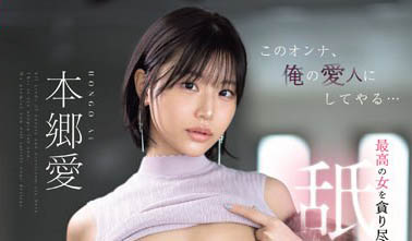 业界高知识才女《本乡爱》精选作品号推荐介绍及封面