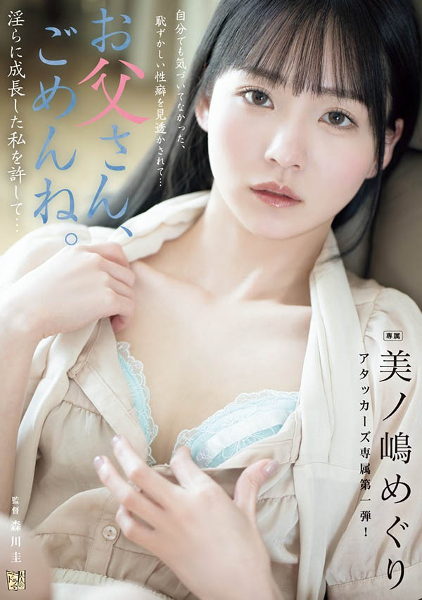 美ノ嶋めぐり(美之嶋惠理)作品号ADN-720介绍及封面